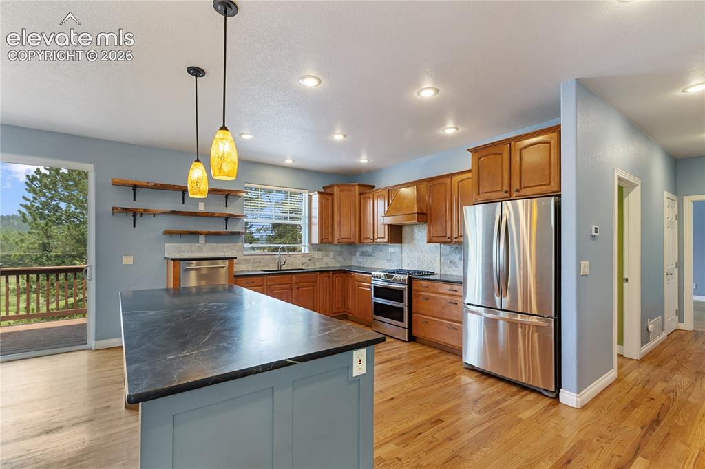 1498 Masters Drive Woodland Park CO 80863