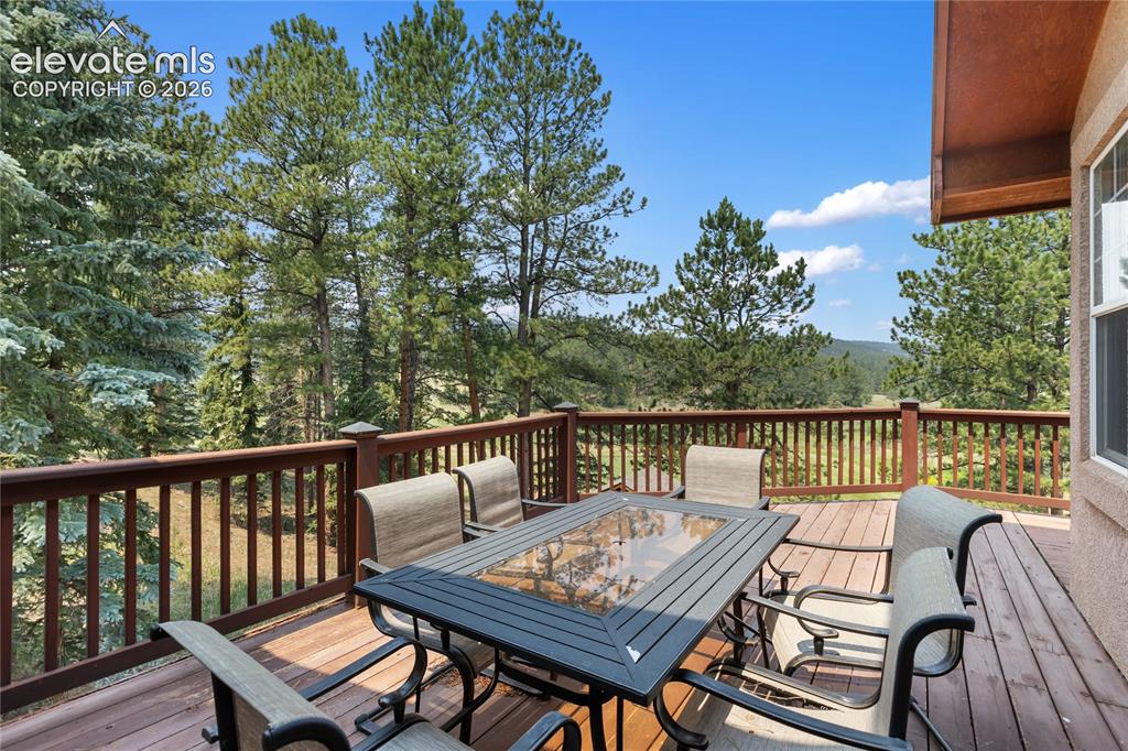 1498 Masters Drive Woodland Park CO 80863