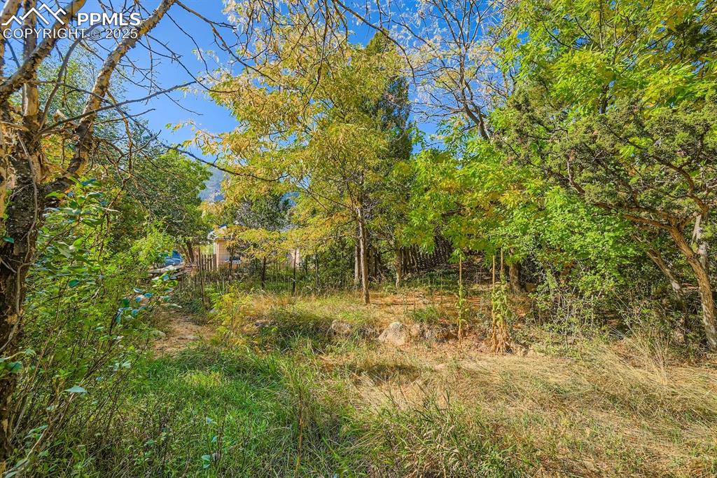 2036 Ridgeway Avenue Colorado Springs CO 80906