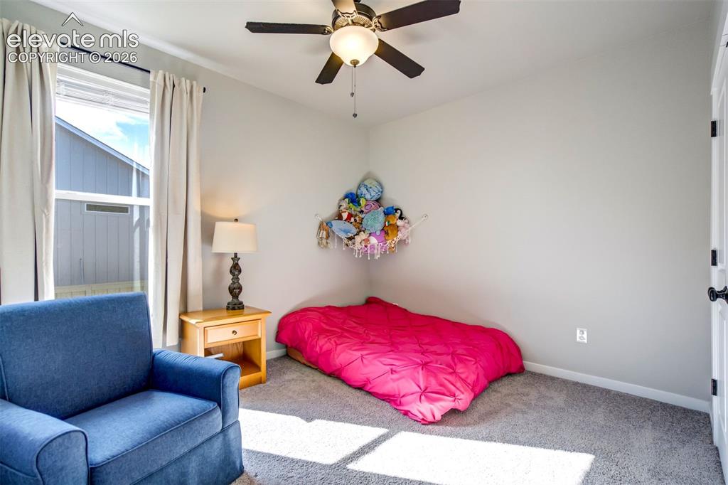8318 Sam Bass Drive Colorado Springs CO 80908