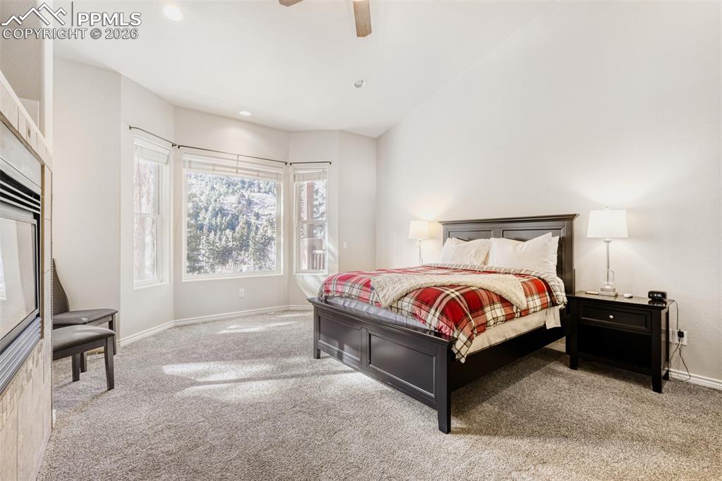 4519 Edwards Place Cascade CO 80809