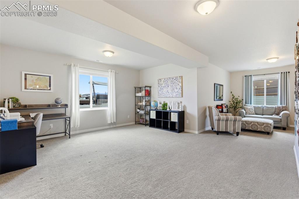 1459 Coronado Beach Drive Monument CO 80132