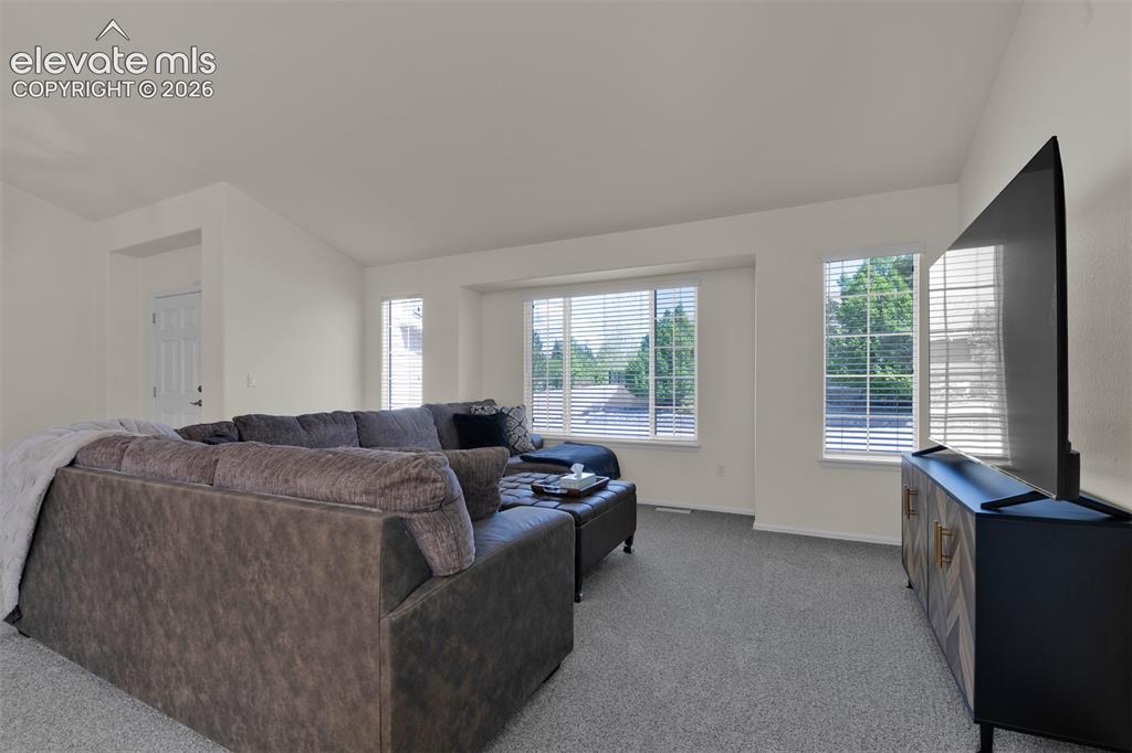 705 Witchhazel Court Colorado Springs CO 80921