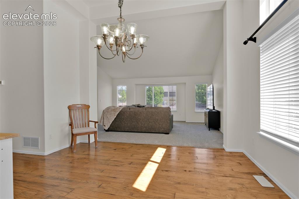 705 Witchhazel Court Colorado Springs CO 80921