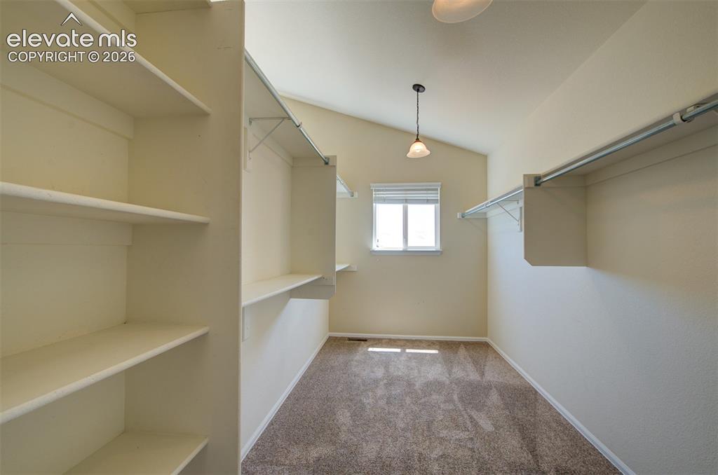 705 Witchhazel Court Colorado Springs CO 80921