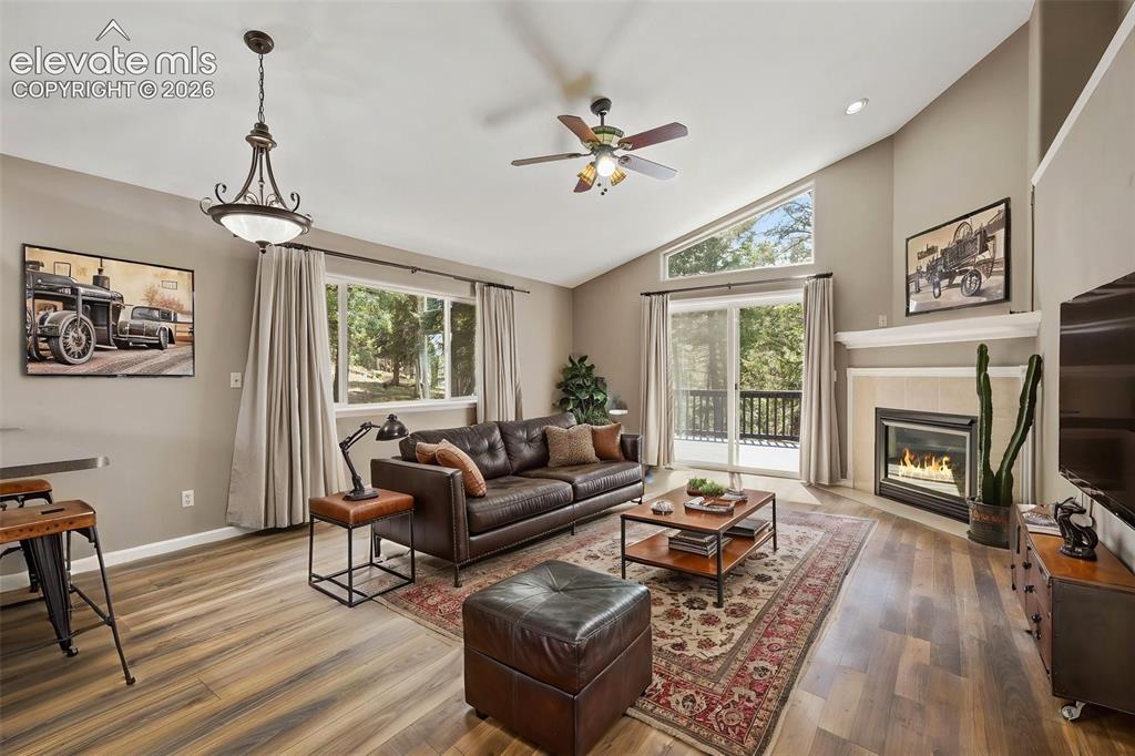 145 Grizzley Peak Road Florissant CO 80816