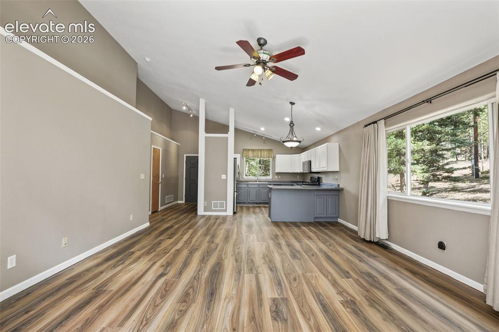 145 Grizzley Peak Road Florissant CO 80816