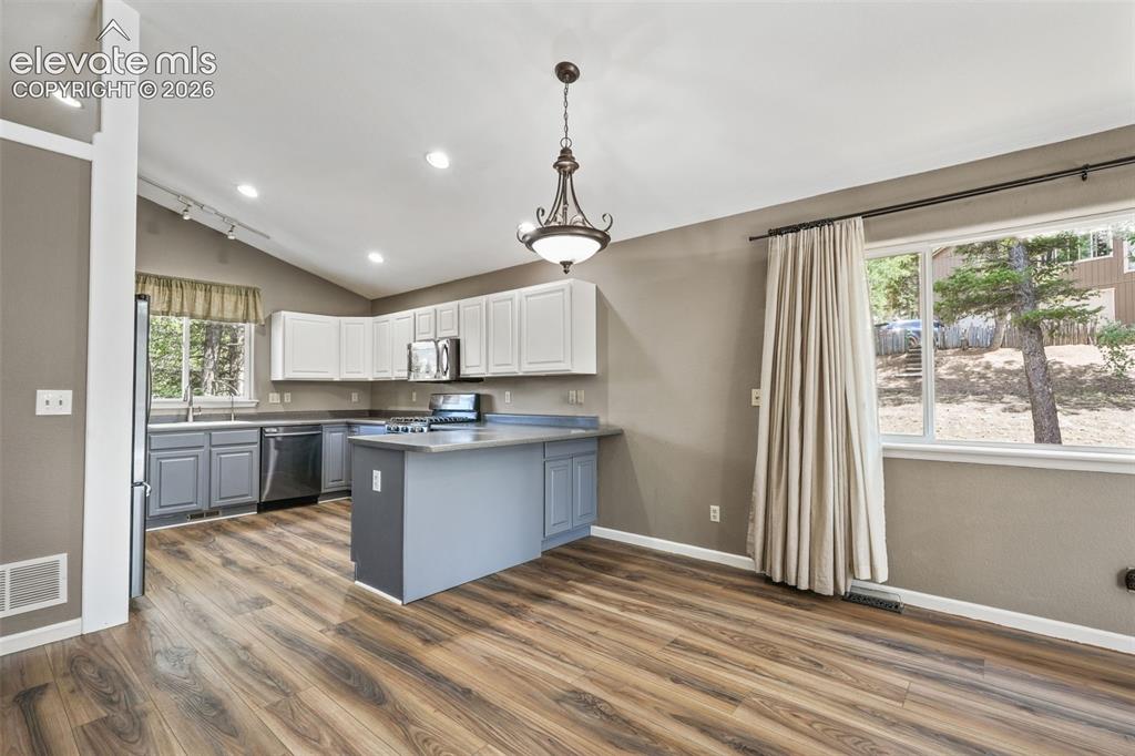 145 Grizzley Peak Road Florissant CO 80816