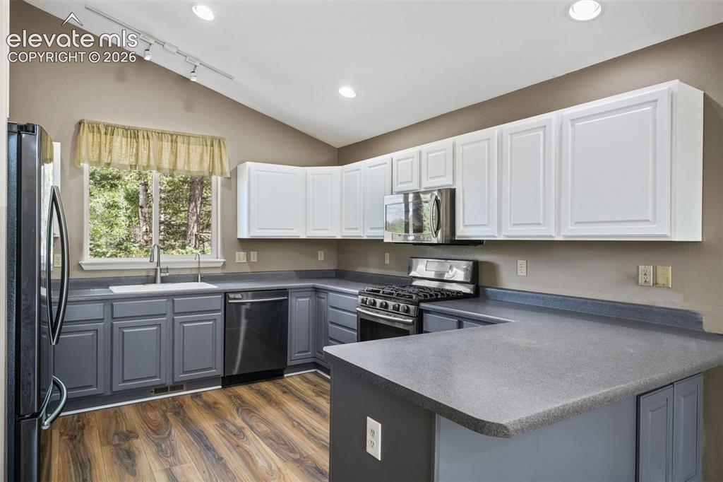 145 Grizzley Peak Road Florissant CO 80816