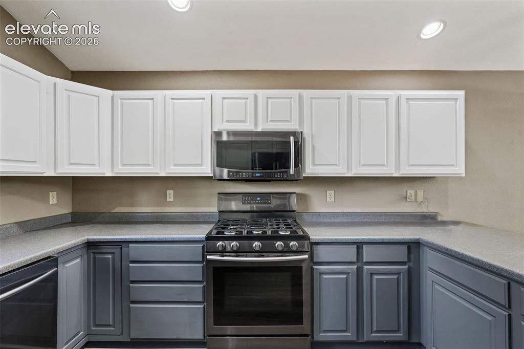 145 Grizzley Peak Road Florissant CO 80816