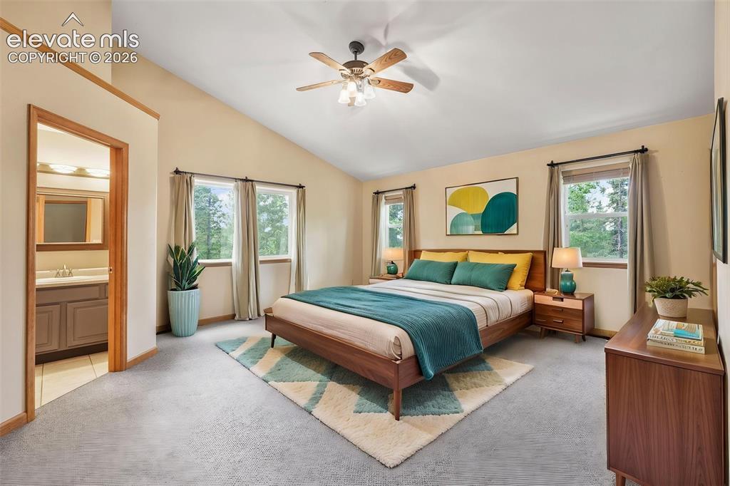 145 Grizzley Peak Road Florissant CO 80816
