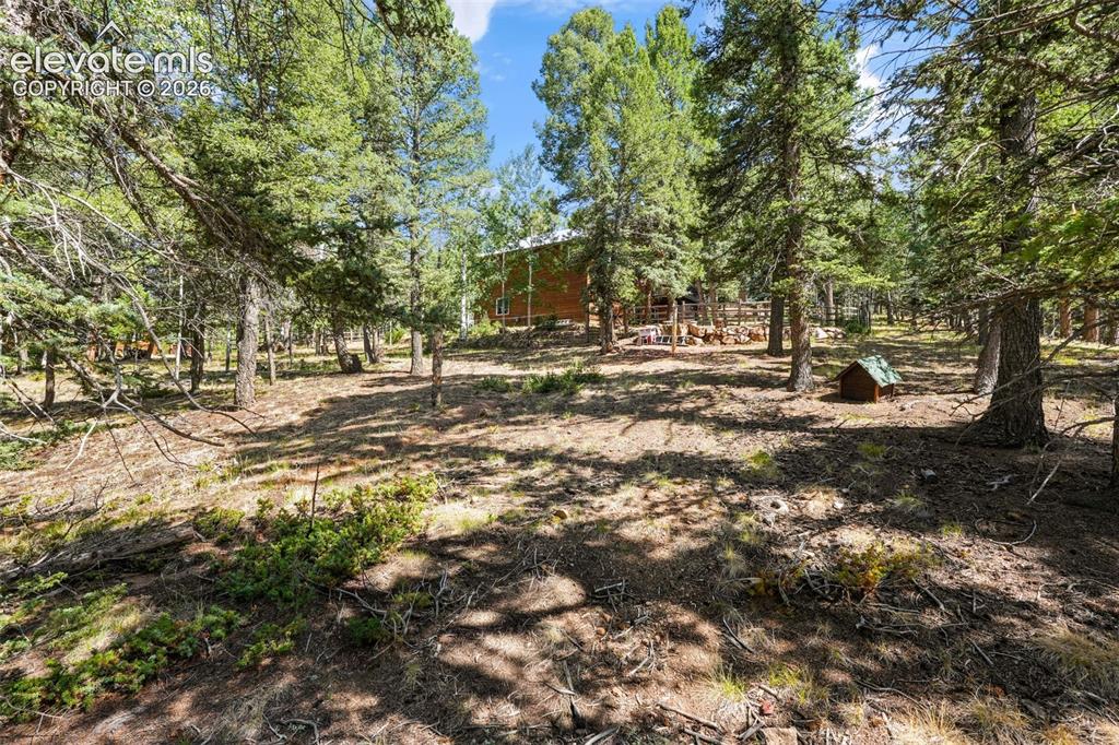 145 Grizzley Peak Road Florissant CO 80816