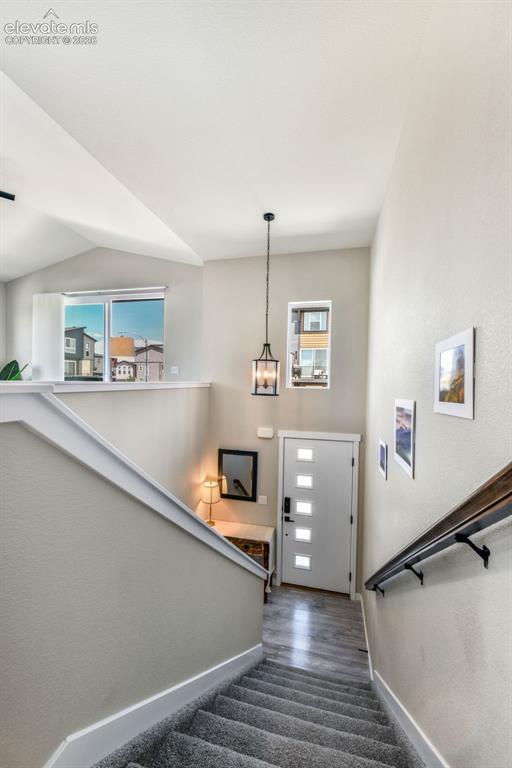 6310 Mirth Terrace Colorado Springs CO 80924