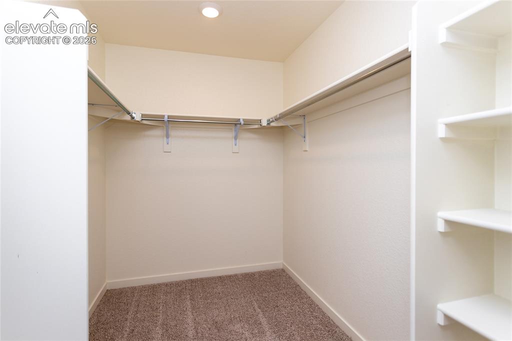 5214 Janga Drive Colorado Springs CO 80924