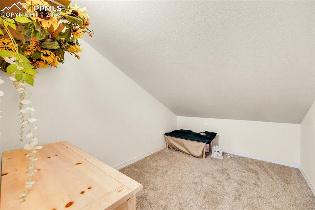 3245 Chestnut Glen Lane Colorado Springs CO 80918