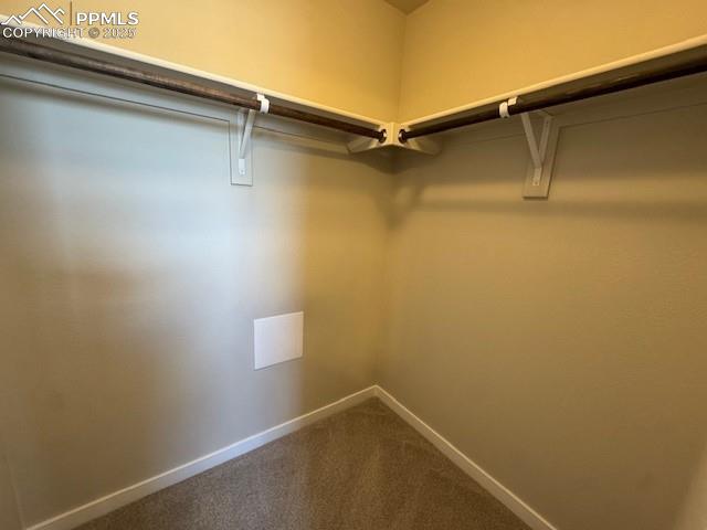 9238 Kurie Mine Lane Colorado Springs CO 80908