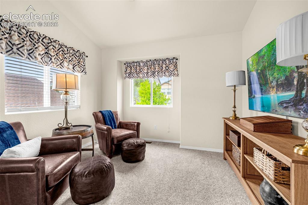 9521 Sycamore Glen Trail Colorado Springs CO 80920