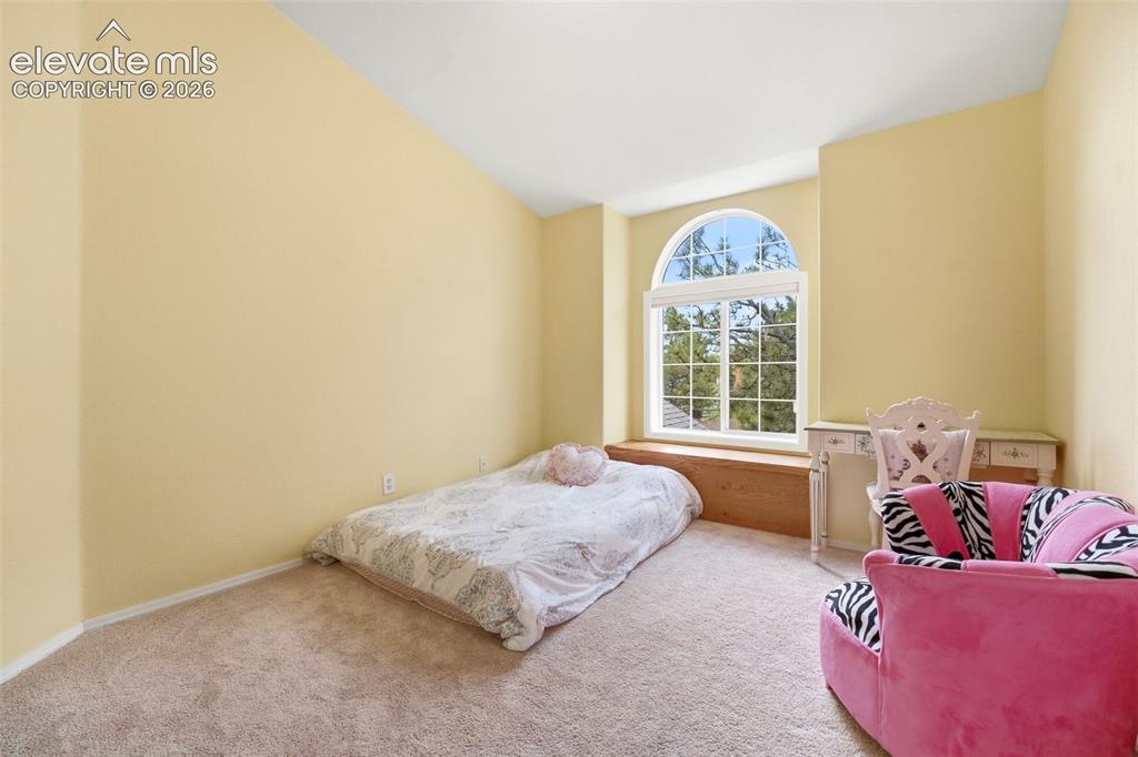 2221 Valley View Drive Woodland Park CO 80863