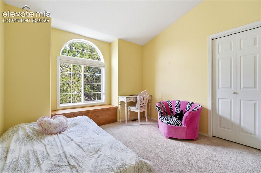 2221 Valley View Drive Woodland Park CO 80863