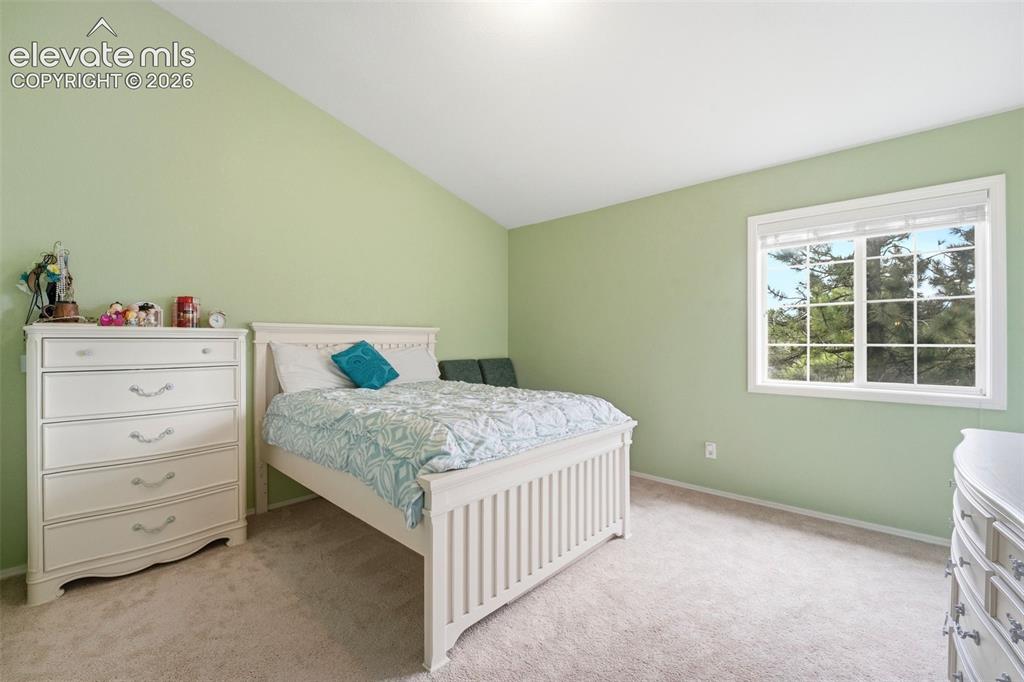 2221 Valley View Drive Woodland Park CO 80863