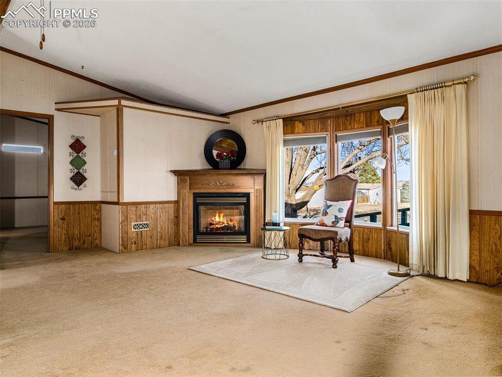183 E Birch Hills Drive Pueblo CO 81007