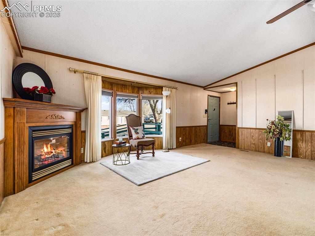 183 E Birch Hills Drive Pueblo CO 81007