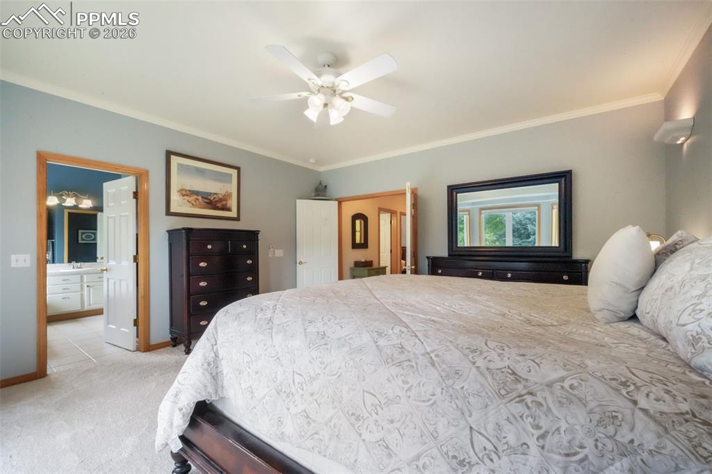 1590 Longview Circle Monument CO 80132