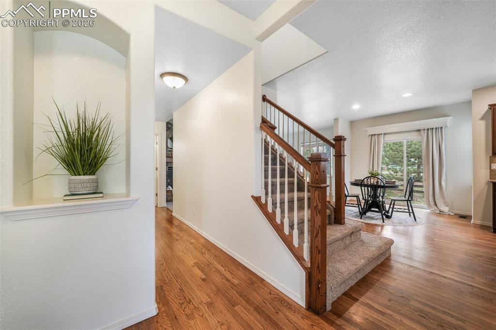 16043 Bridle Ridge Drive Monument CO 80132