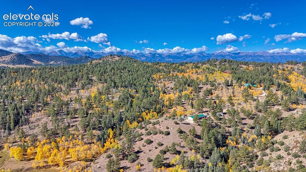 294 Vista De Agua Trail Westcliffe CO 81252
