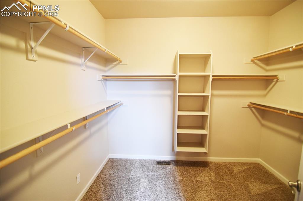 6558 Petaluma Point Colorado Springs CO 80923