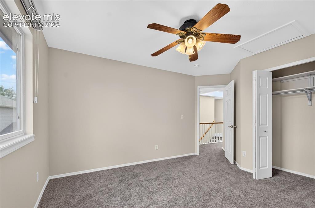 3555 Painted Daisy Court Colorado Springs CO 80920