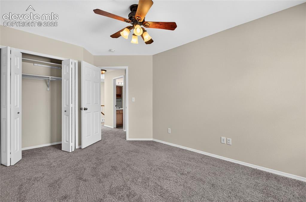 3555 Painted Daisy Court Colorado Springs CO 80920