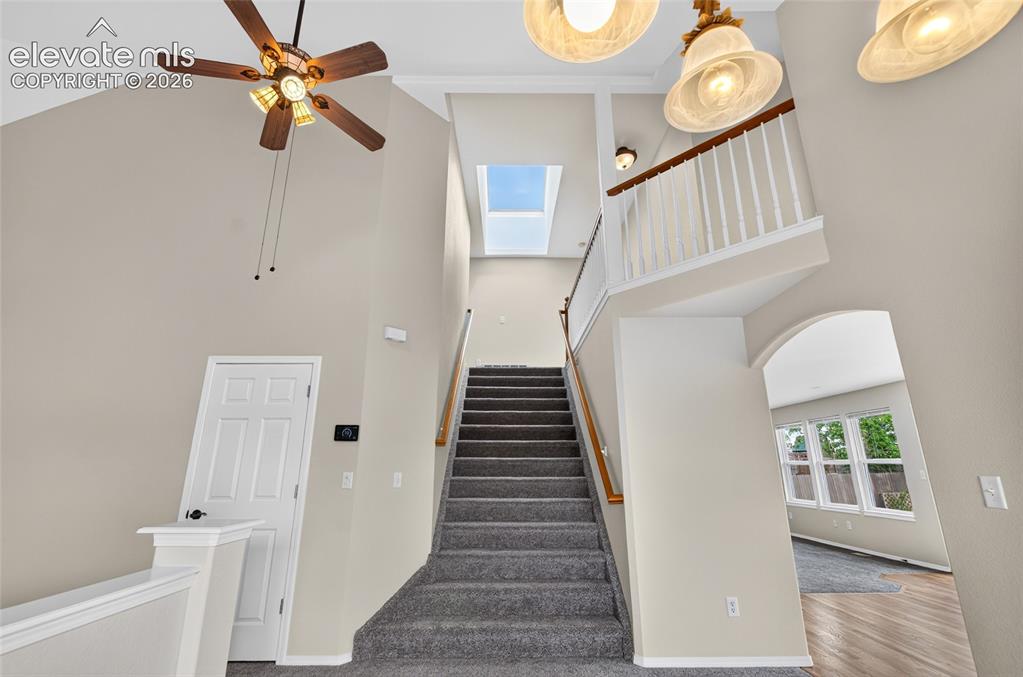 3555 Painted Daisy Court Colorado Springs CO 80920