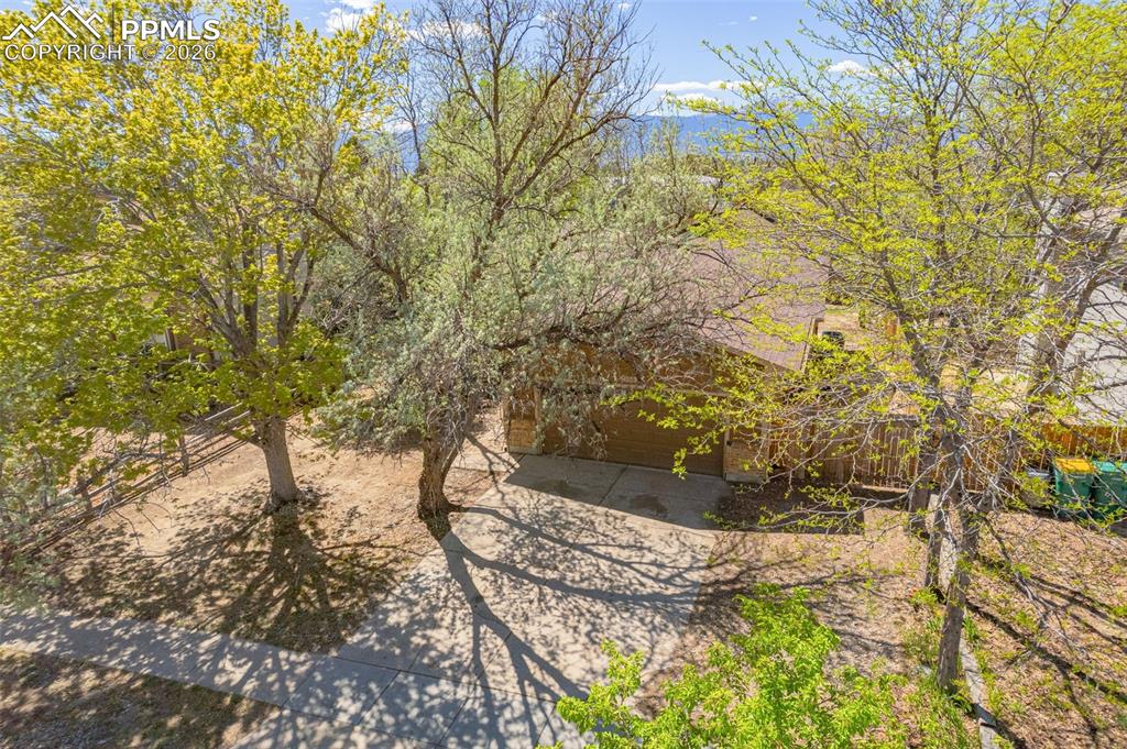 1565 Piros Drive Colorado Springs CO 80915