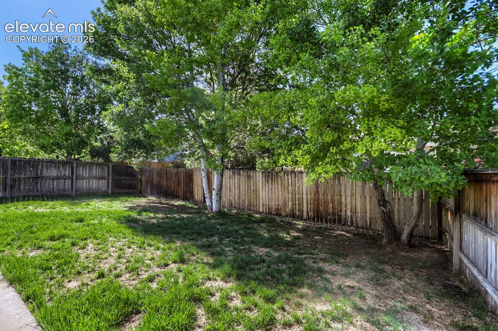 654 Foxtail Way Windsor CO 80550