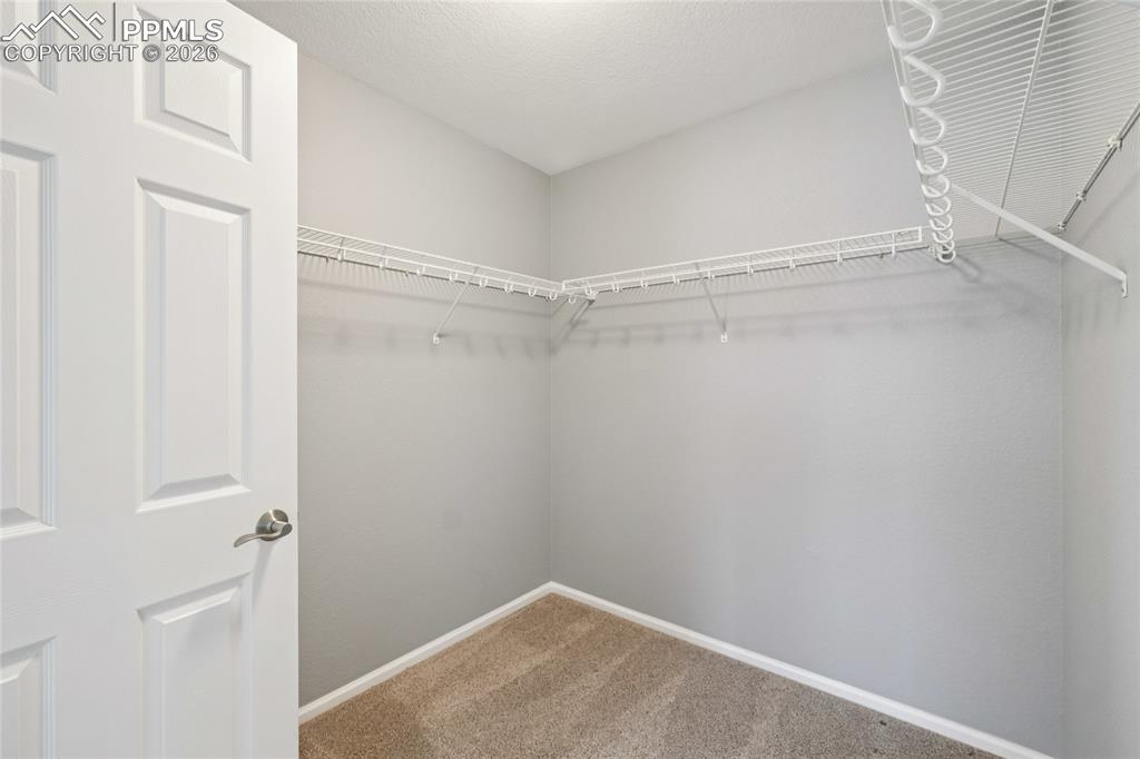 11514 Mountain Turtle Drive Colorado Springs CO 80921