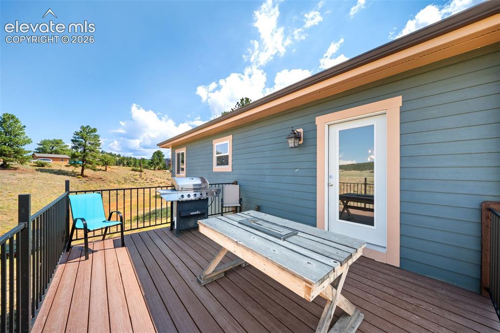351 High Pasture Road Florissant CO 80816