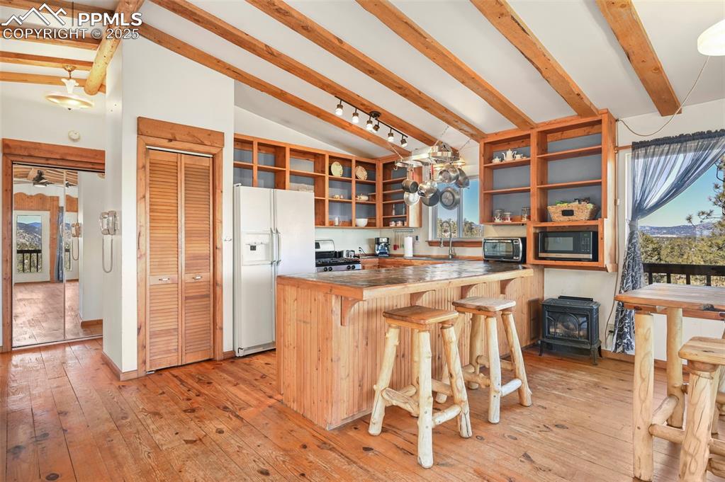 66 Shawnee Place Florissant CO 80816