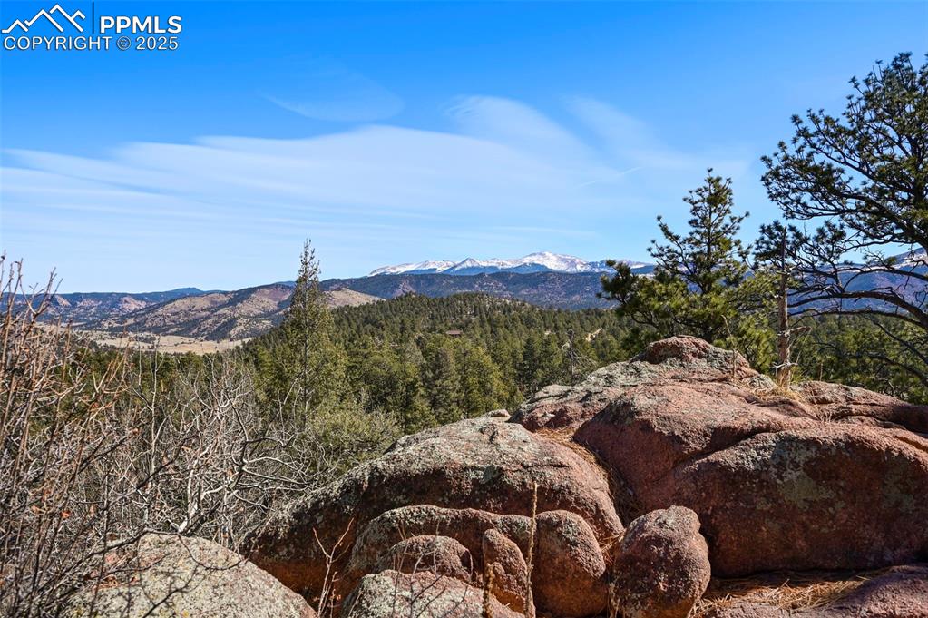 66 Shawnee Place Florissant CO 80816