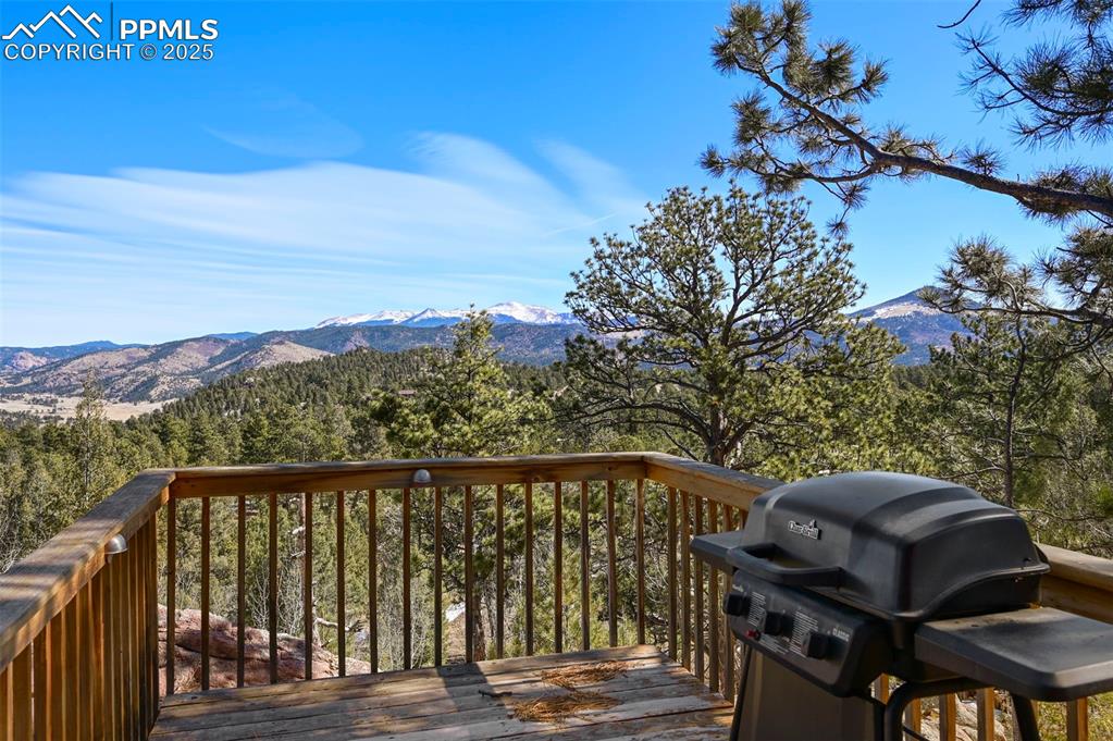 66 Shawnee Place Florissant CO 80816