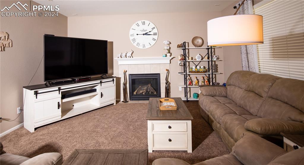 6777 Ironwood Tree Circle Colorado Springs CO 80927