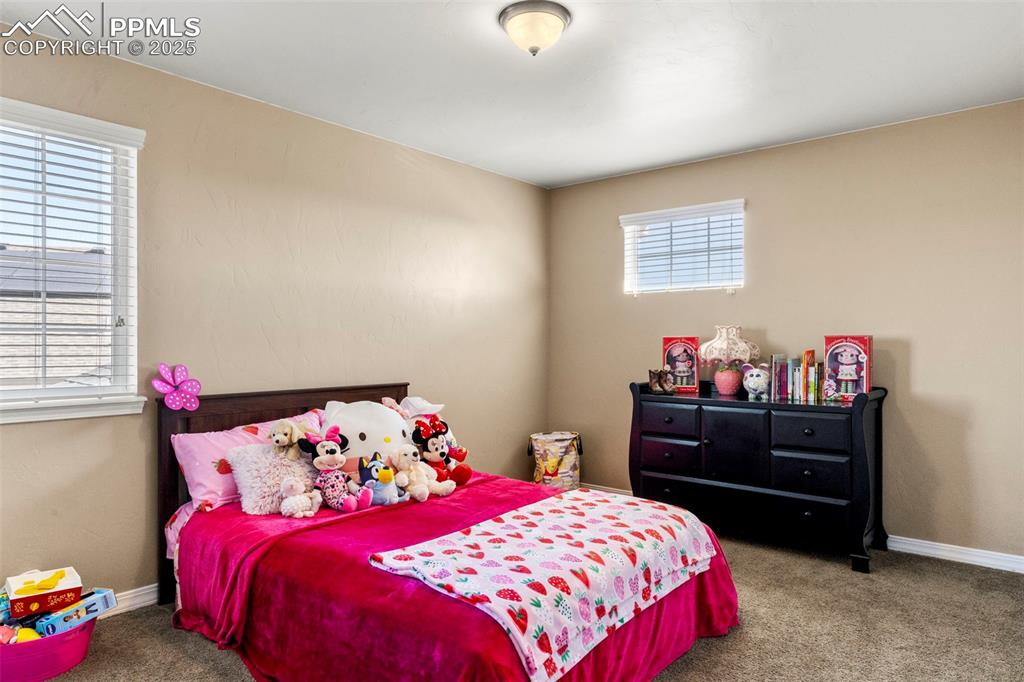 7162 Renegade Ridge Drive Colorado Springs CO 80923