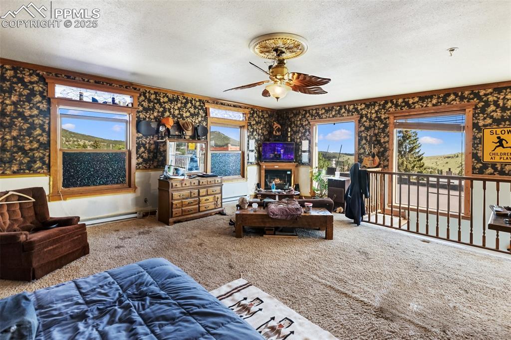119 S 3rd Street Victor CO 80860