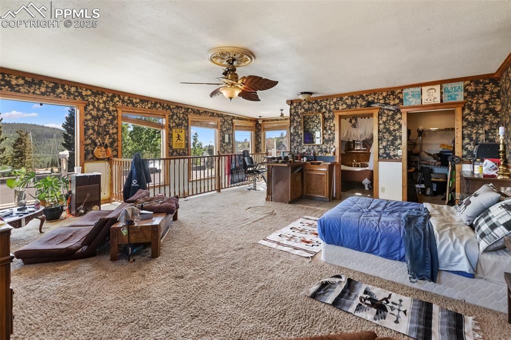 119 S 3rd Street Victor CO 80860