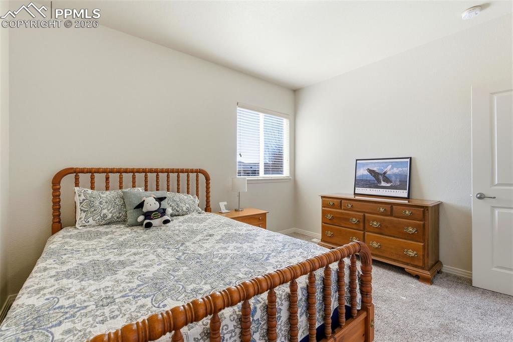 7333 Talimena Terrace Peyton CO 80831