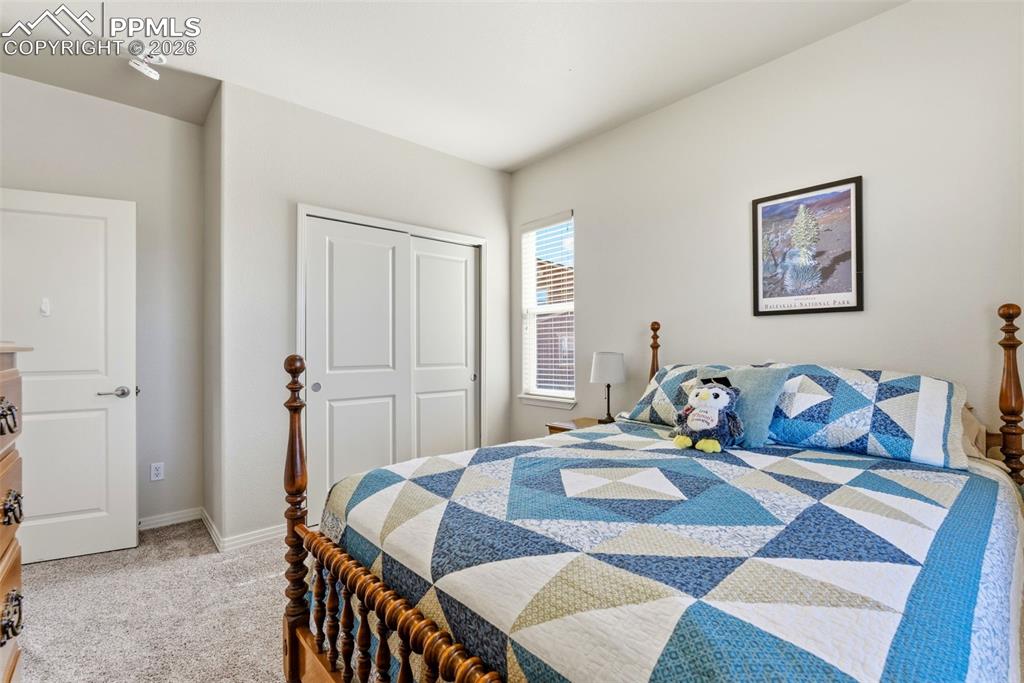 7333 Talimena Terrace Peyton CO 80831