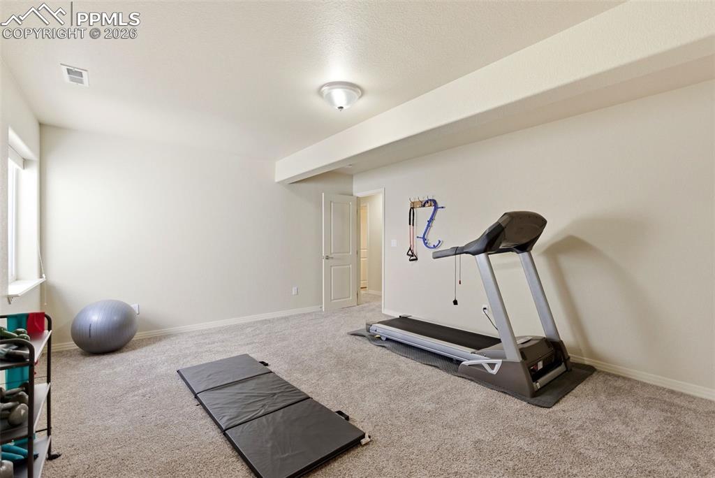 7333 Talimena Terrace Peyton CO 80831