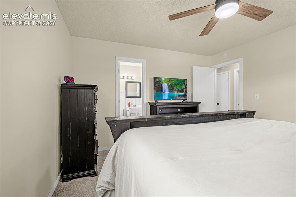 3955 Ayers Drive Colorado Springs CO 80920