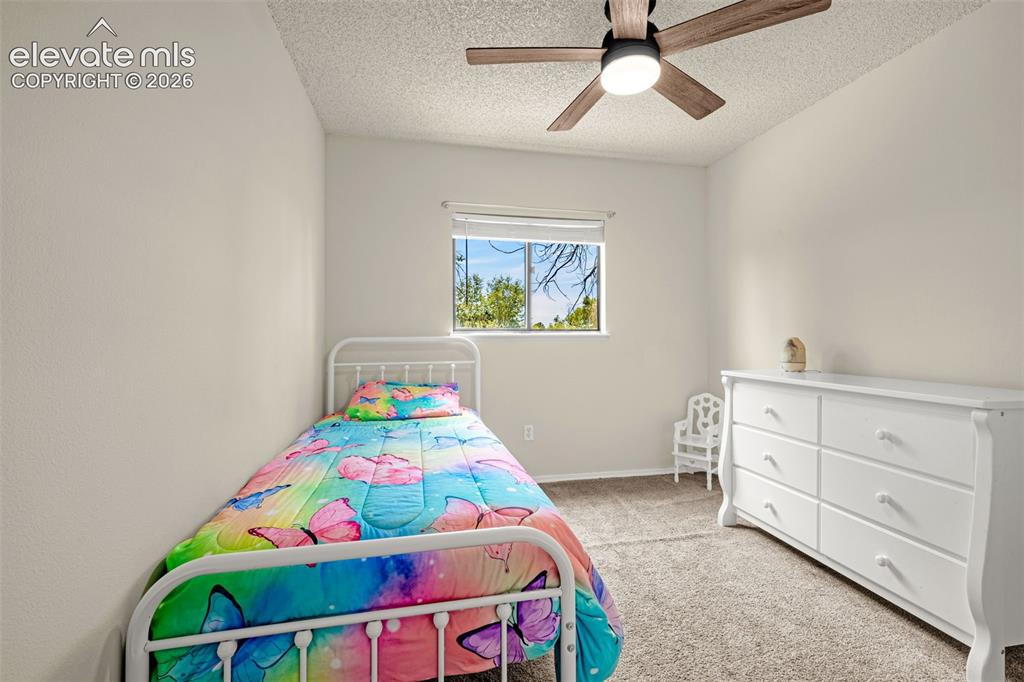 3955 Ayers Drive Colorado Springs CO 80920