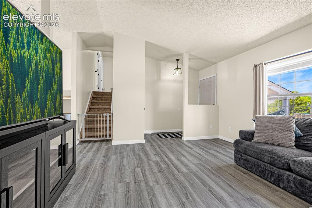 3955 Ayers Drive Colorado Springs CO 80920